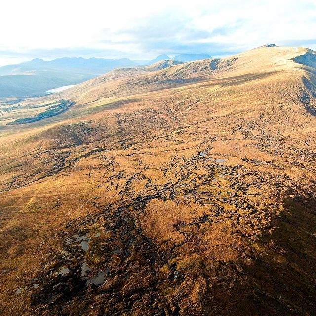 peat