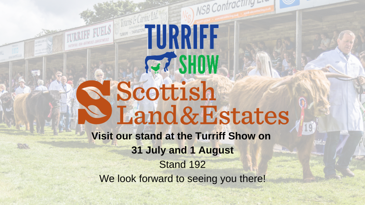 turriff