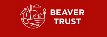 beaverstrsust