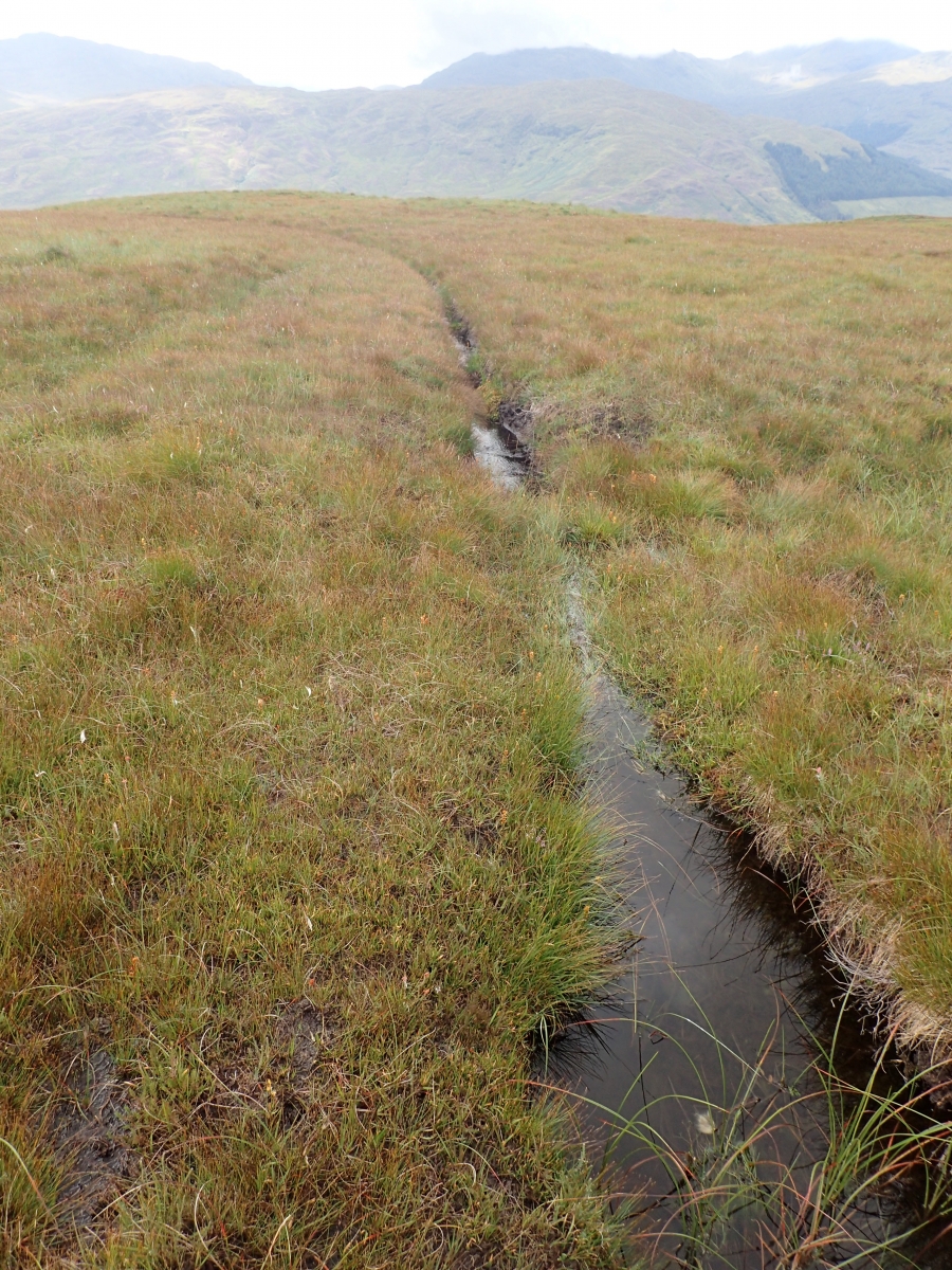 Grips at Innishewan Ford 