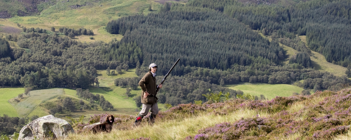 Moorland 