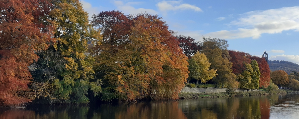 Autumn colours along the Tweed, Peebles ©Donald Greig