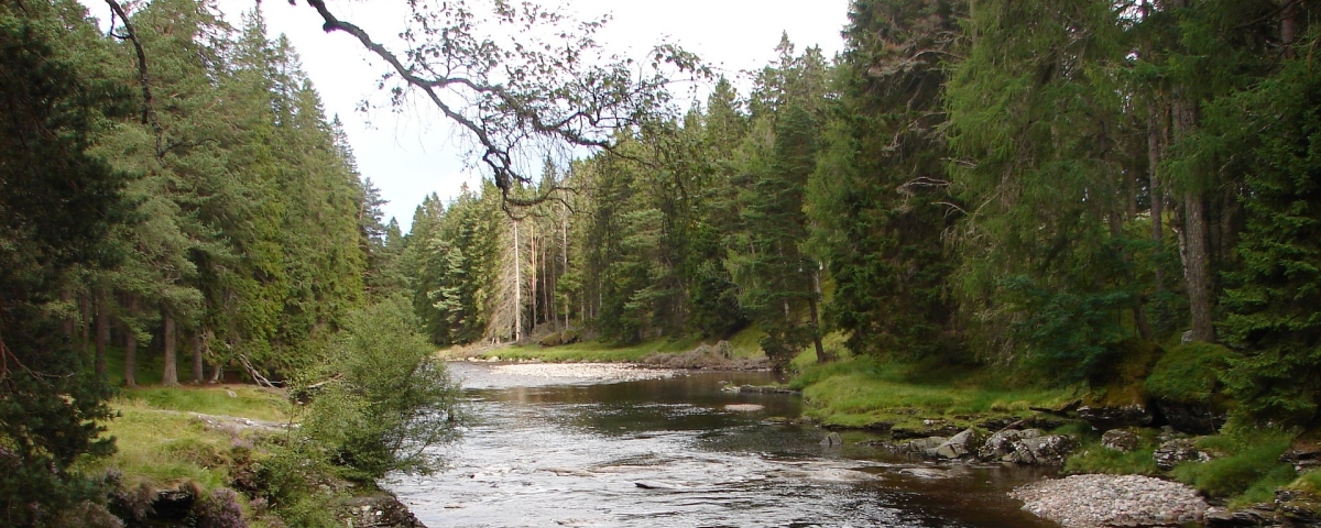 North East