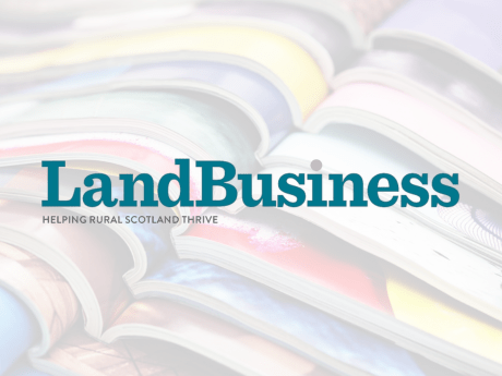 LandBusiness