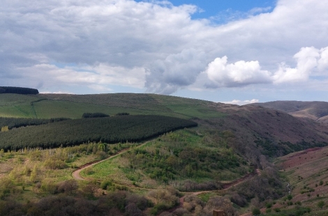 hillside with clouds, Coshogle
