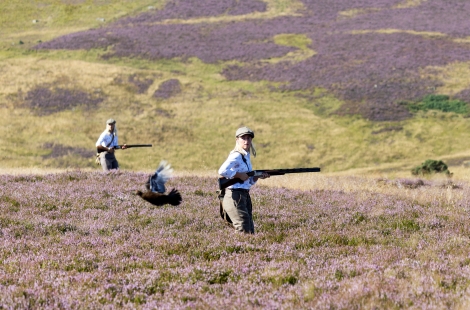 Moorland