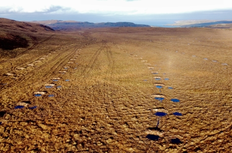 Peatland restoration at Armadale
