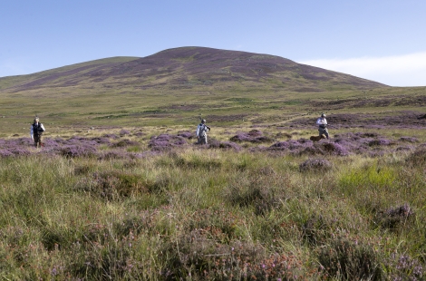 Scottish moorland