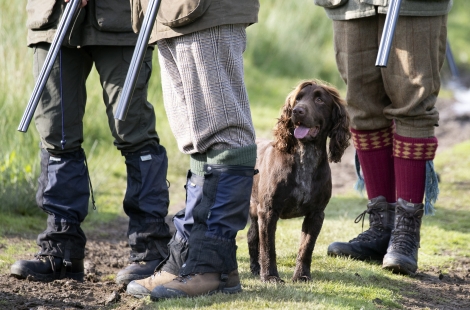Shooting and rural organisations take responsibility of move away from lead ammunition