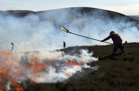 Land managers and firefighters battle to contain the fire, Eastside Farm, credit Jenny Cowan