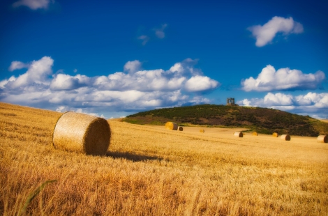 English farmers given more certainty than those north of the border