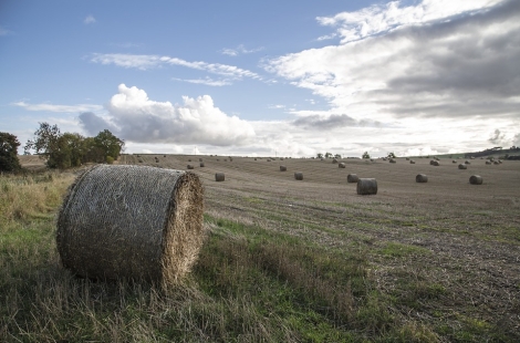 Flexibility in coronavirus job retention scheme needed for rural Scotland