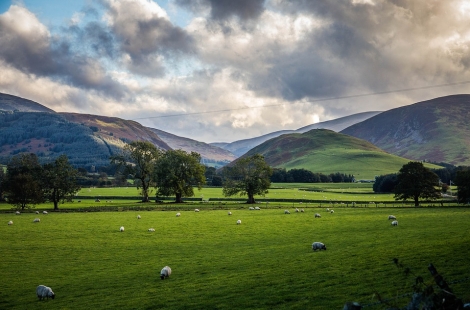 Land managers perfectly placed to deliver environmental vision