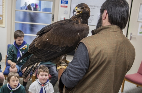 Golden eagle scout launch 