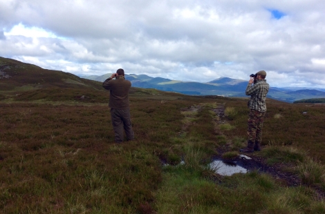 Keepers searching in Perthshire