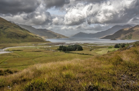 Transparency of land ownership supported but complex regulations raise concern
