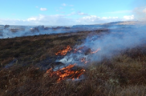 Land managers urged to stop muirburn during Covid-19 pandemic