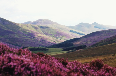 rural scotland 