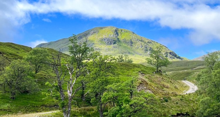 Ceannacroc Estate woodland