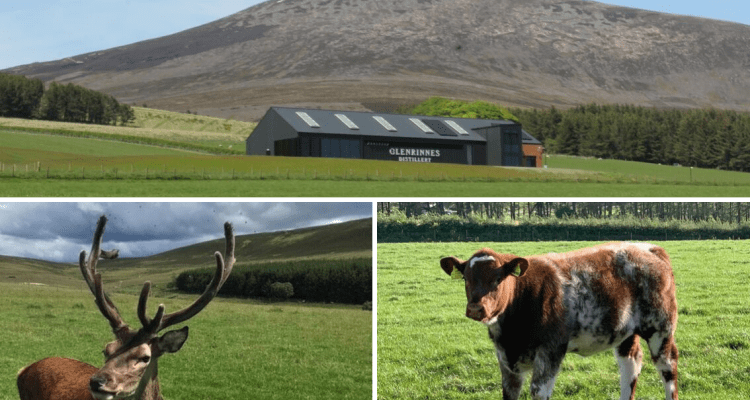 Glenrinnes Photo
