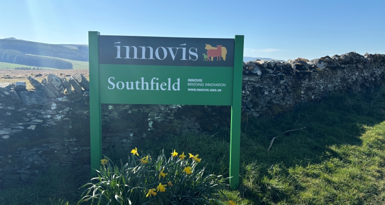Sign for Southfield and Innovis