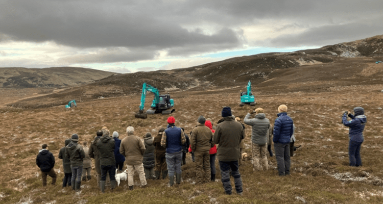 Peatland Restoration