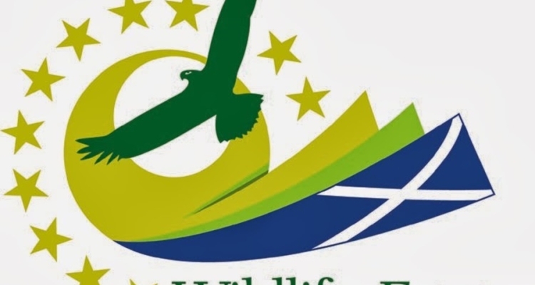 WES LOGO