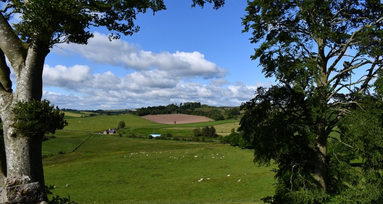 Land Reform 