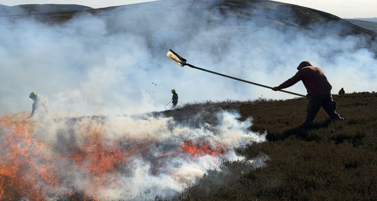 Land managers and firefighters battle to contain the fire, Eastside Farm, credit Jenny Cowan
