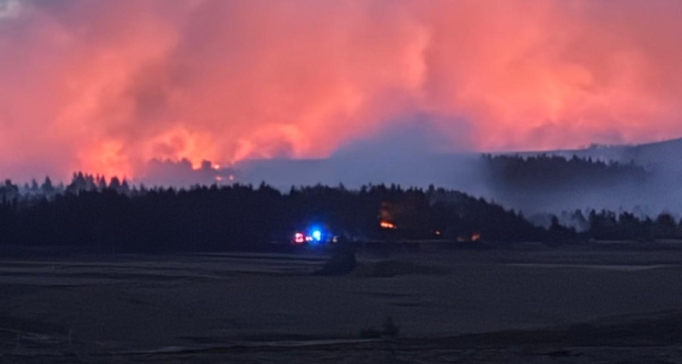 Landmark Wildfire Action Plan to Help Response to Major Blazes in ...