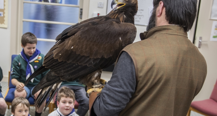 Golden eagle scout launch 