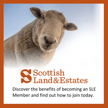 SLE Membership CTA