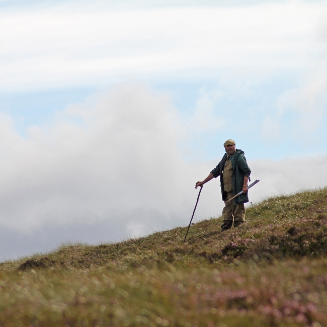 Moorland Management
