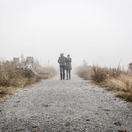 Psychological impact of farm crime